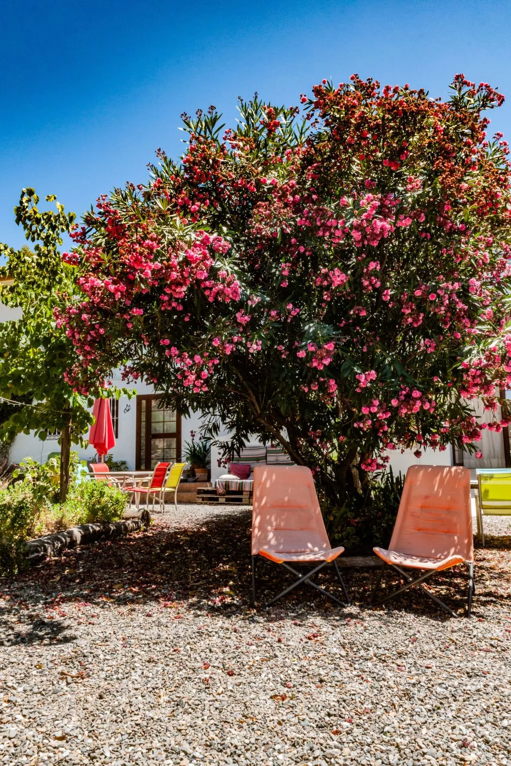 Seeadlerhorst-Draußen