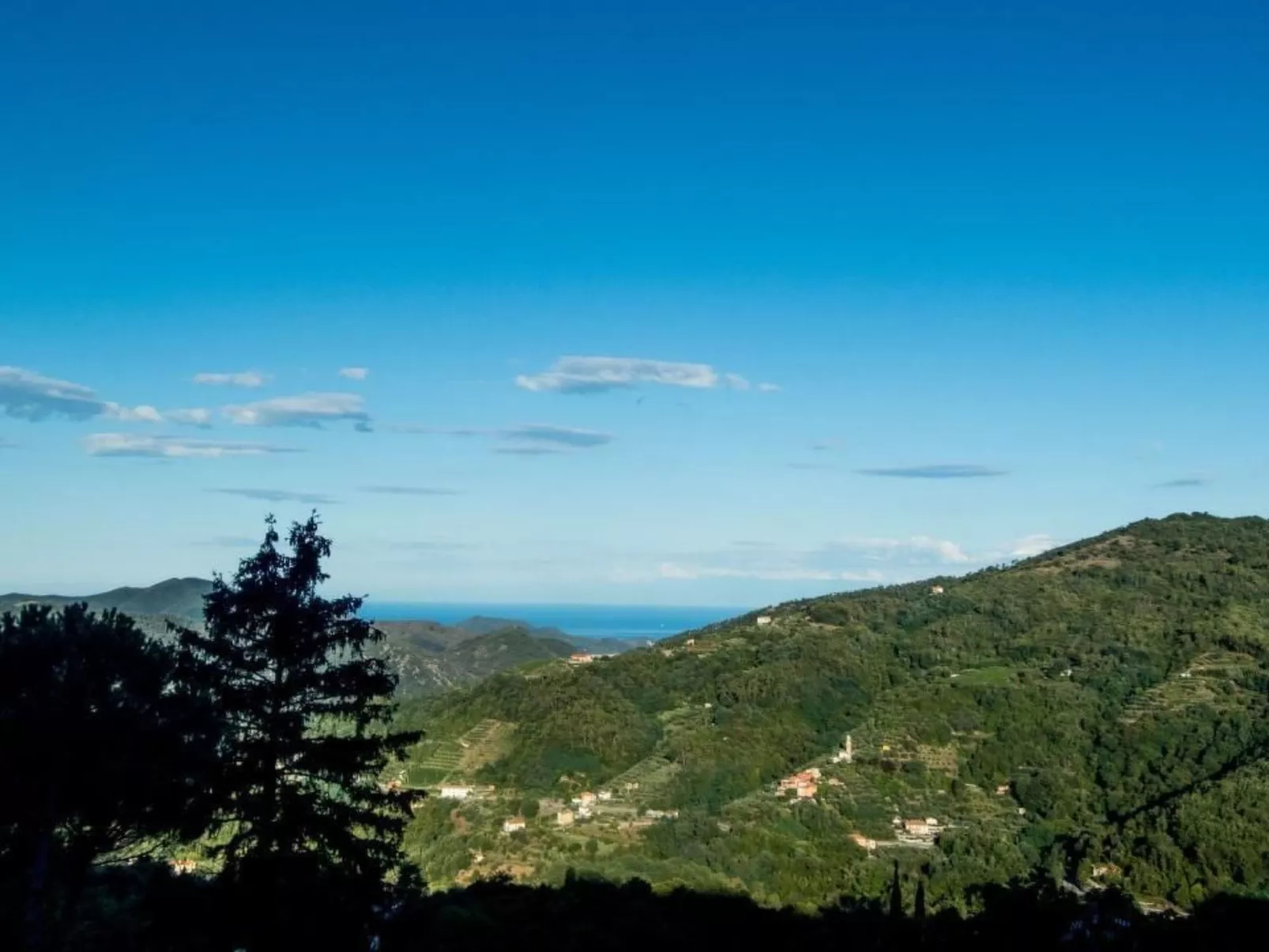 Wohnung in Velva mit Grill, Terrasse und Garten-Image-tags.info