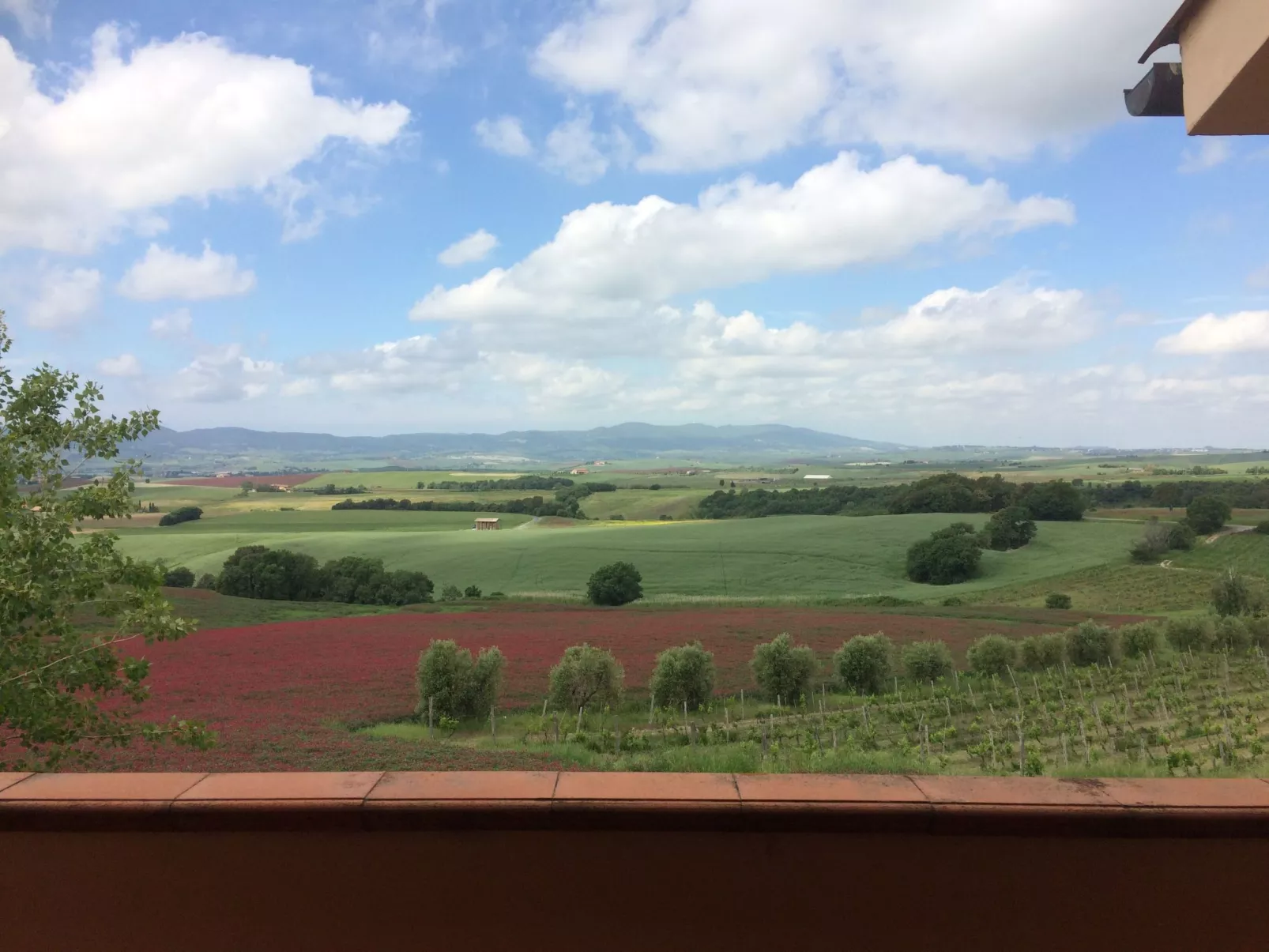 Pieve pomaia Trilo6 flach-Outside