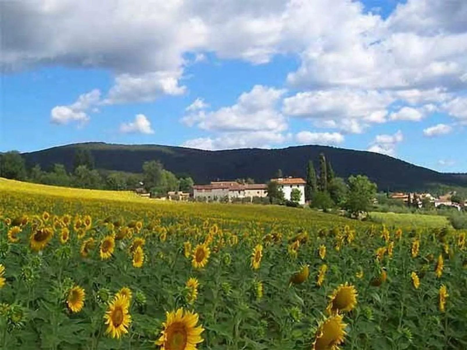 Kleines Appartement-Image-tags.info