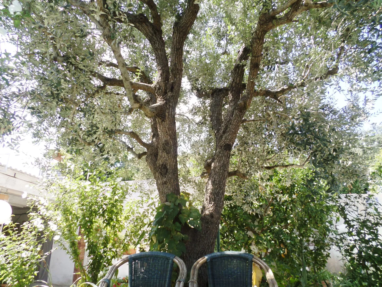 Das Landhaus von Kleopatra und Marcantonio-Outside