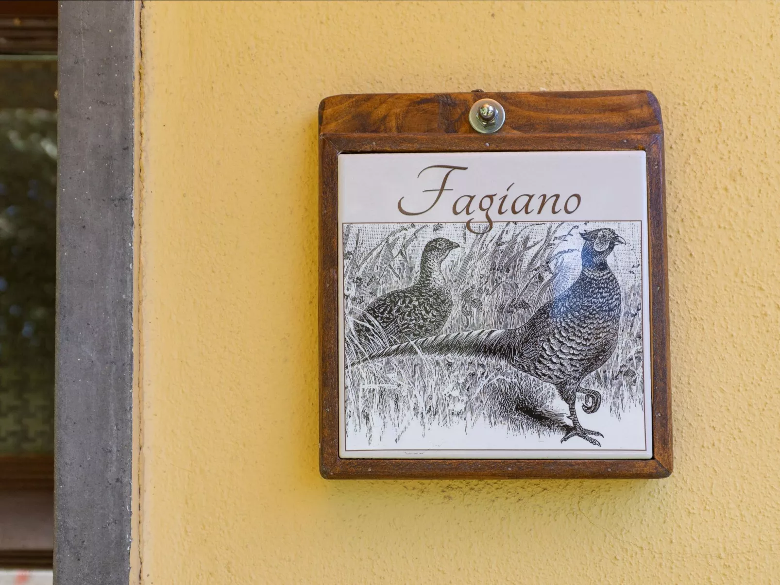 Casa Milla - Drei-Zimmer-Wohnung Fasan - Image-tags.info