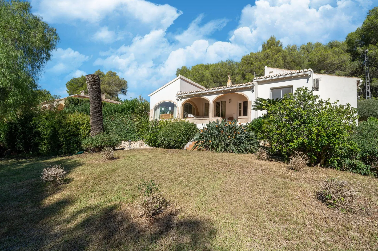 Villa Javea-Gardens summer