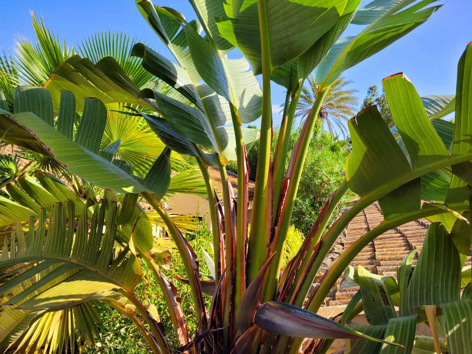 Schöner, neuer und zentraler Bungalow direkt am Sandstrand auf Sizilien-Image-tags.info