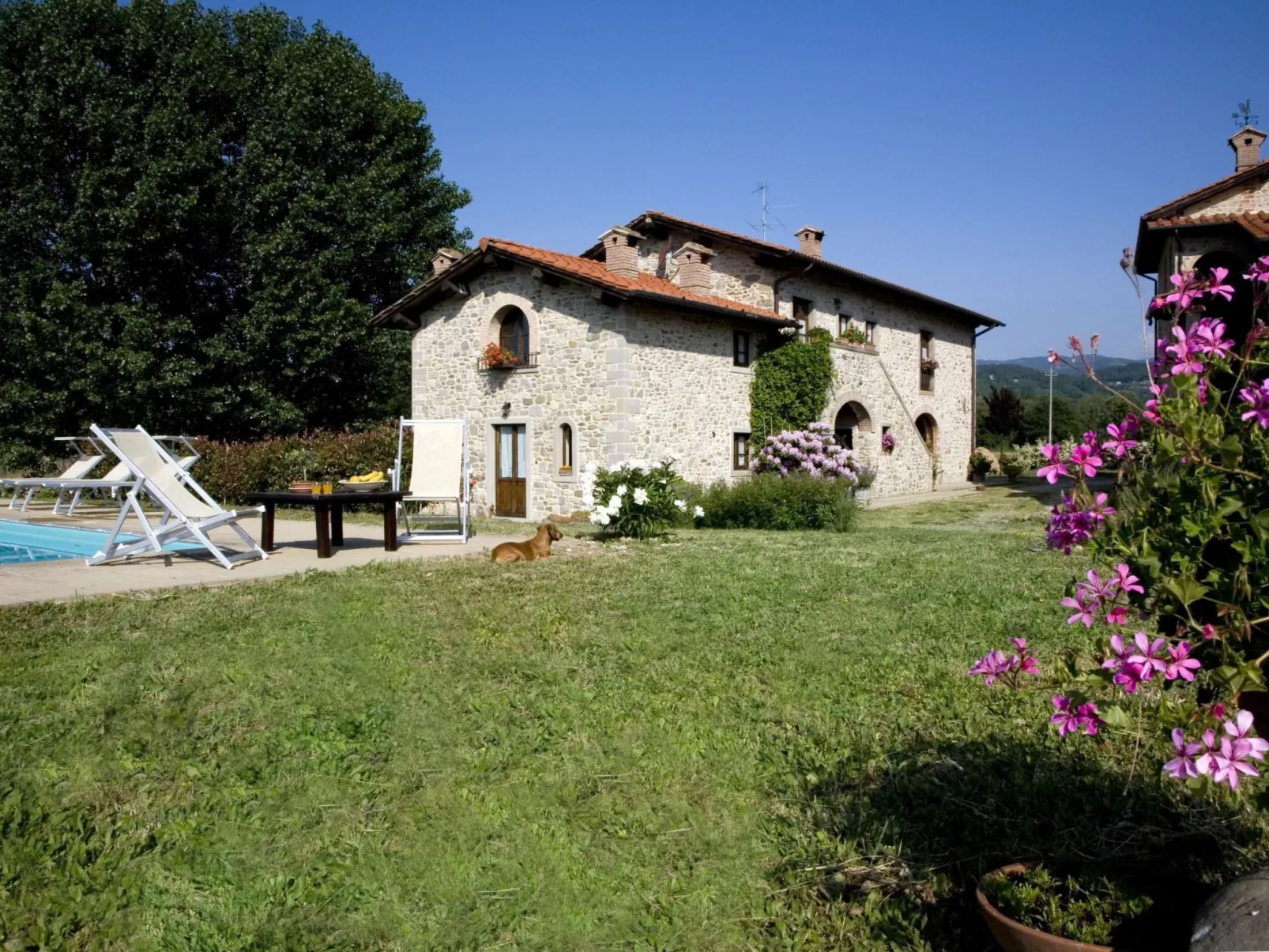 Villa Mildred-Draußen