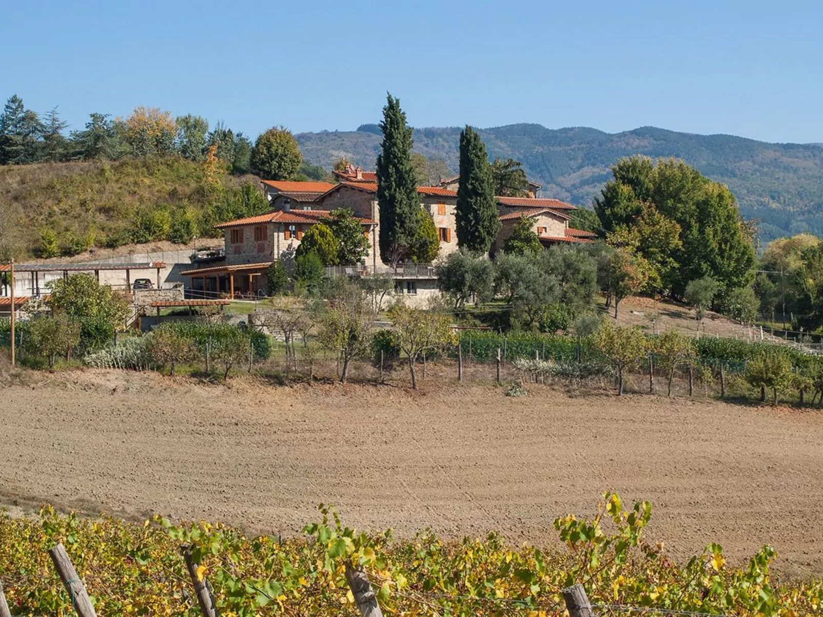 Fichtenhaus mit Schwimmbad zwischen Florenz und-Image-tags.info