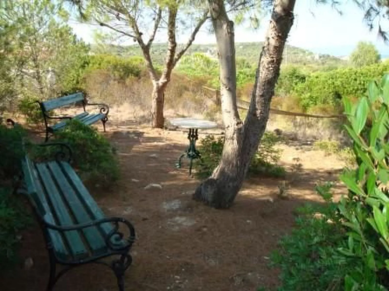 'Luciana' mit Wasserblick-Image-tags.info