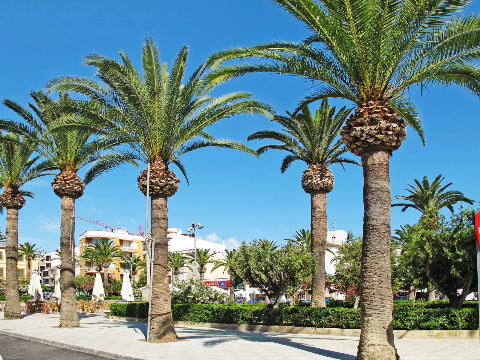 Can Alou - Dorfhaus mit mediterranem Charme-Umgebung