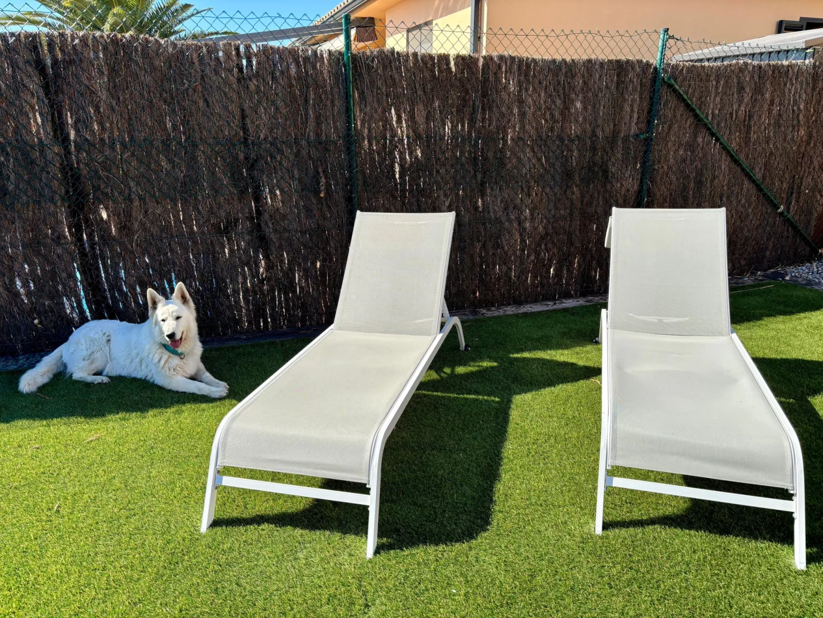 Modernes Einfamilienhaus mit Pool-Draußen