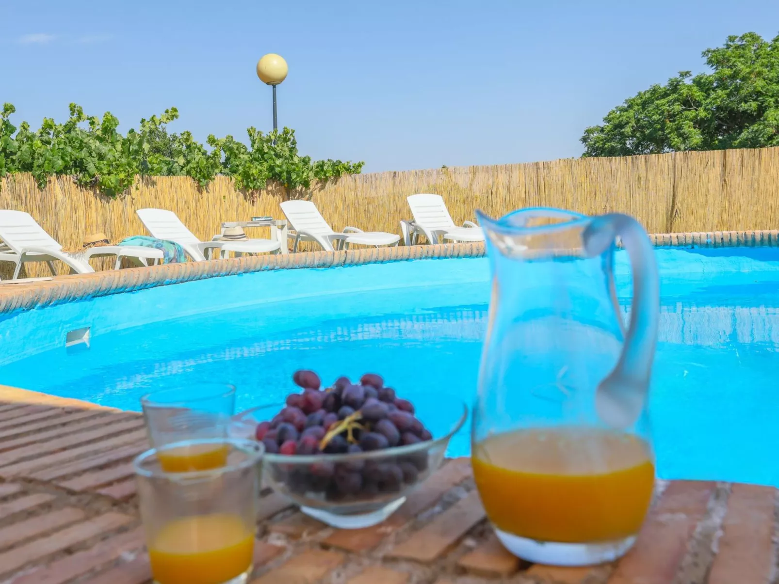 Gasthaus Los Miradores-Image-tags.info