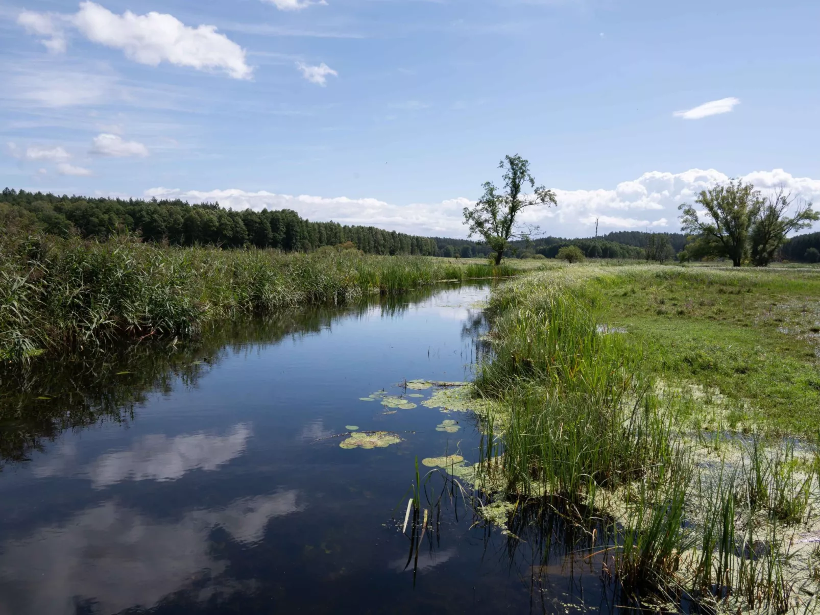 Vogelecke - abseits des Trubels und der Hektik-Draußen
