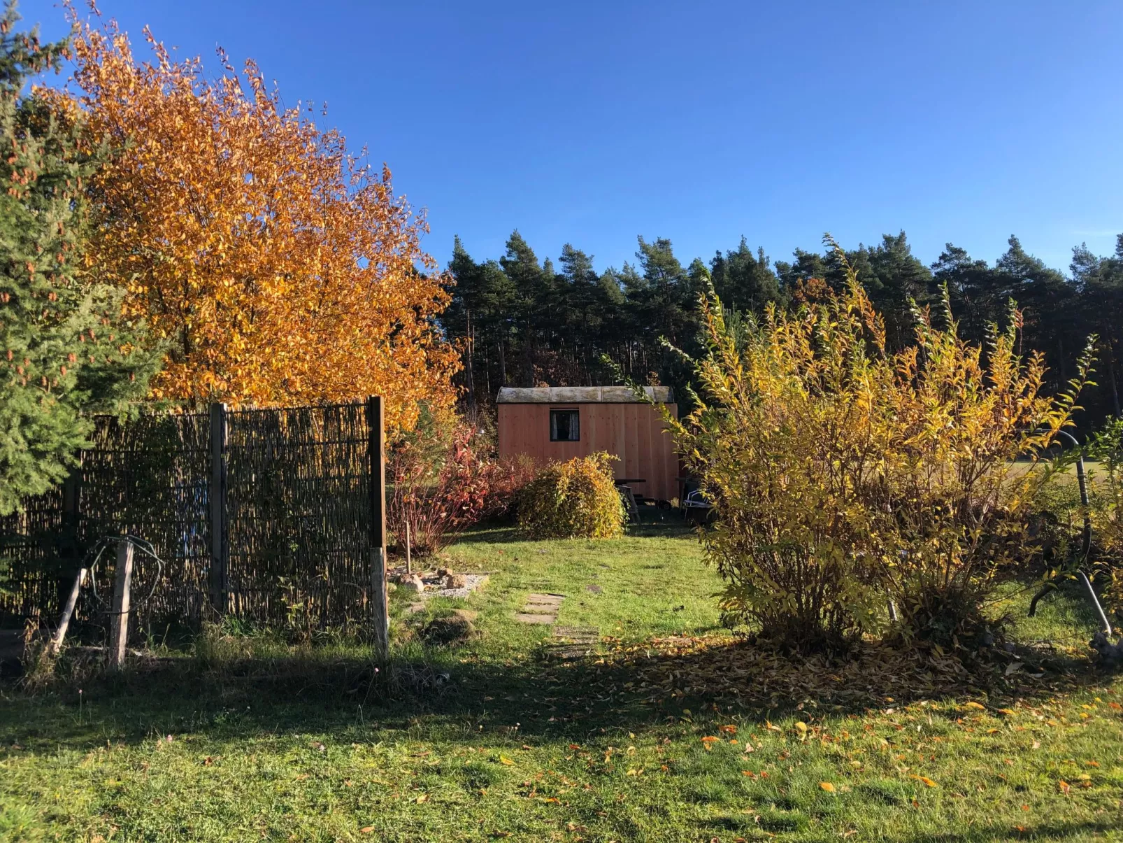 Spitzwegerich-Dehors