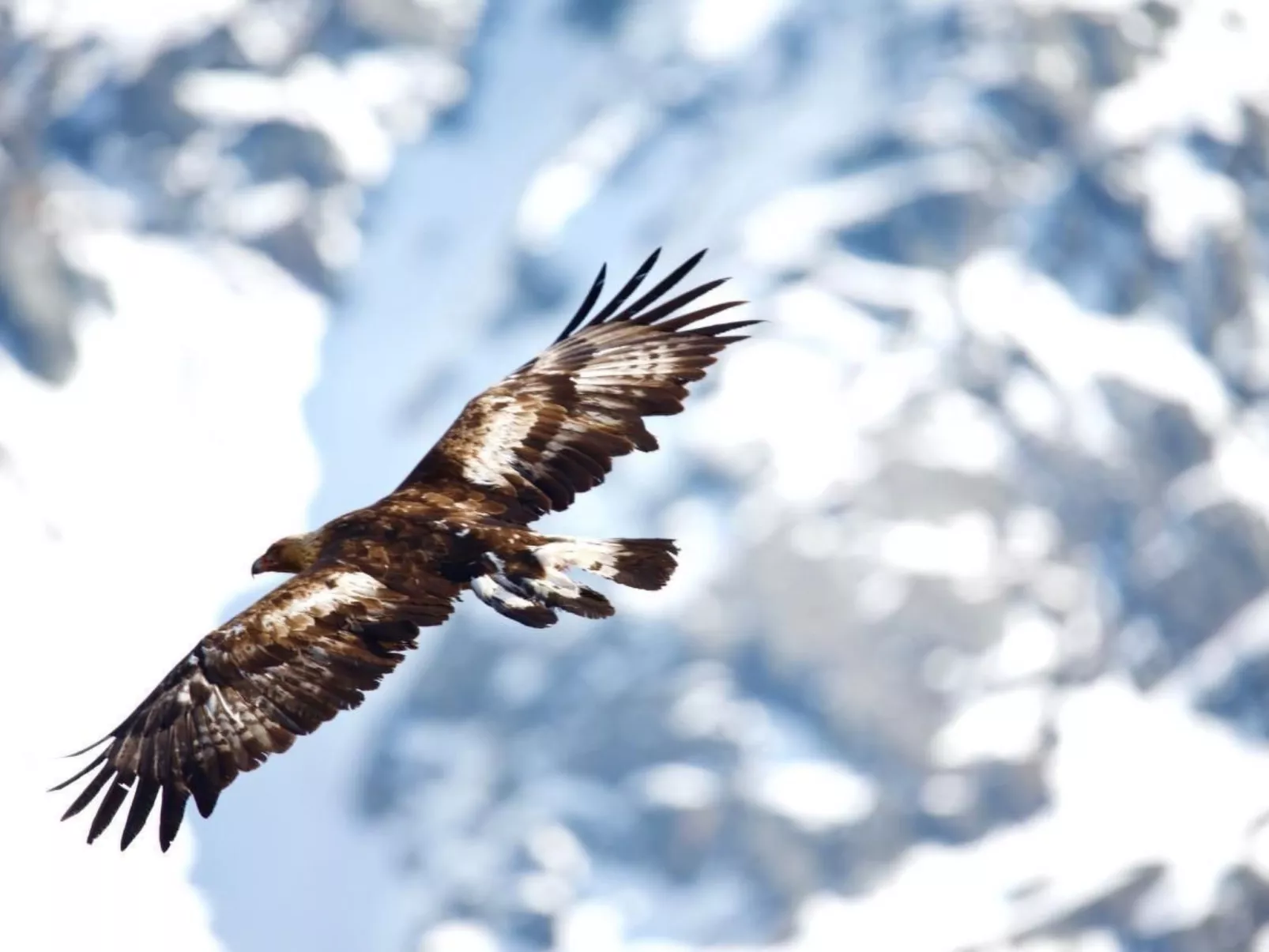 Chesa Thom / ÖV inklusive-Draußen