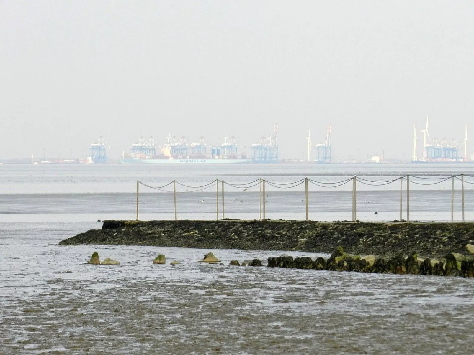 Gesamte Wohnung in Burhave mit Eigener Terrasse-Draußen