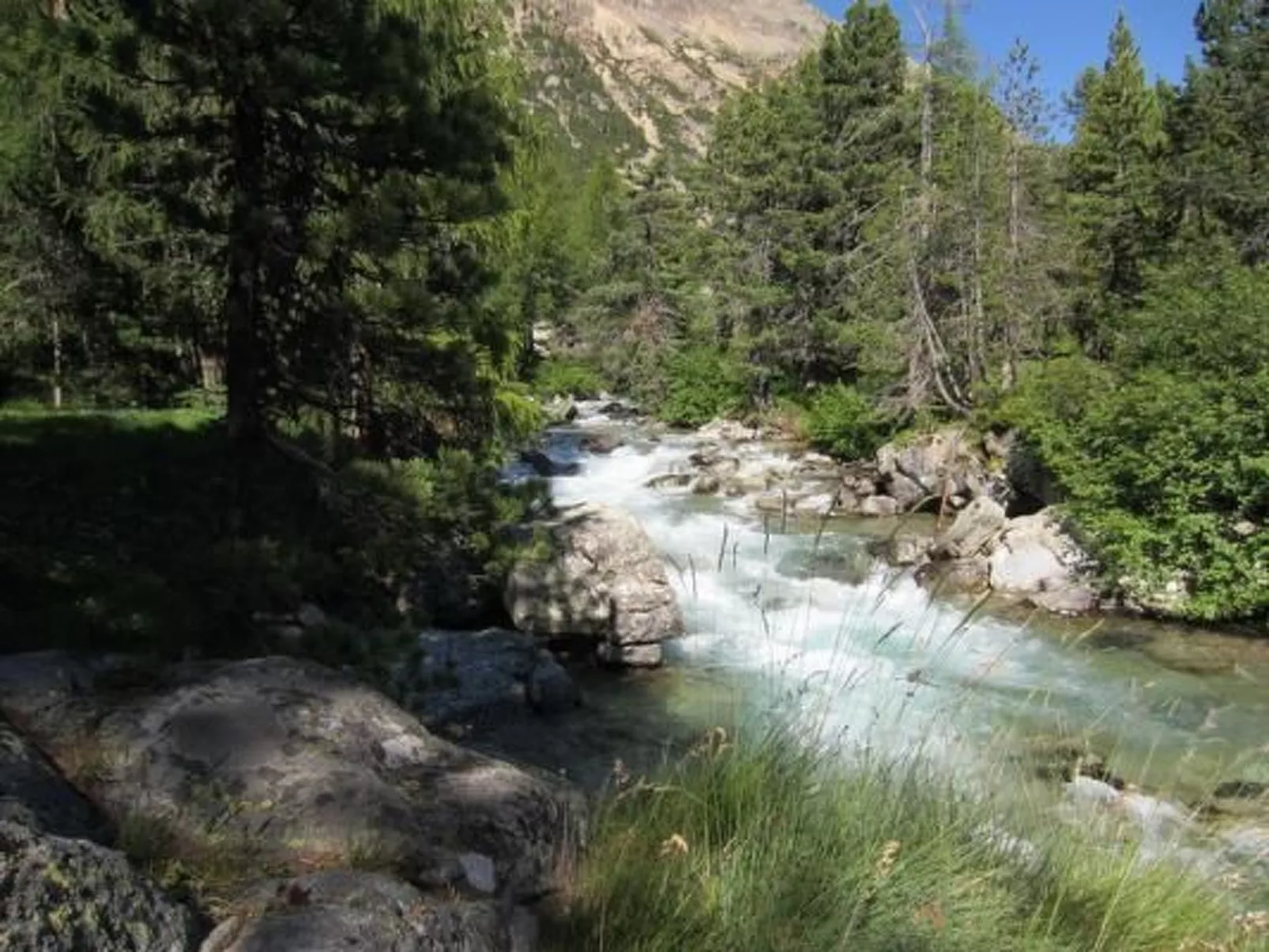 Chesa Basilisk 1 - ÖV inklusive-Draußen