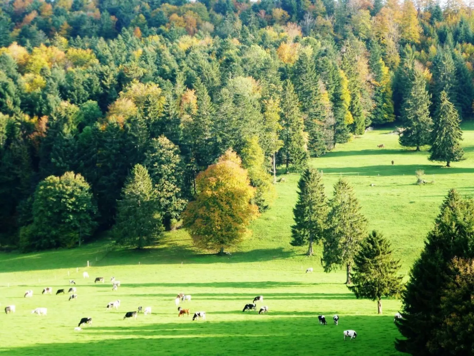 Chalet Désir, Lajoux-Image-tags.info