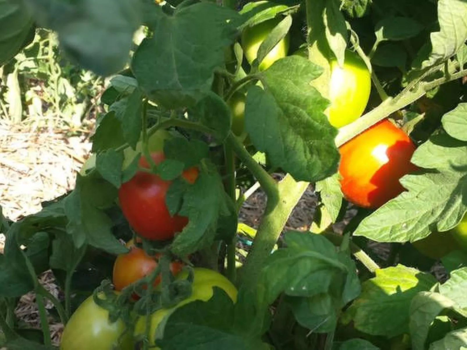 In der Nähe des Meeres und des Sees-Image-tags.info