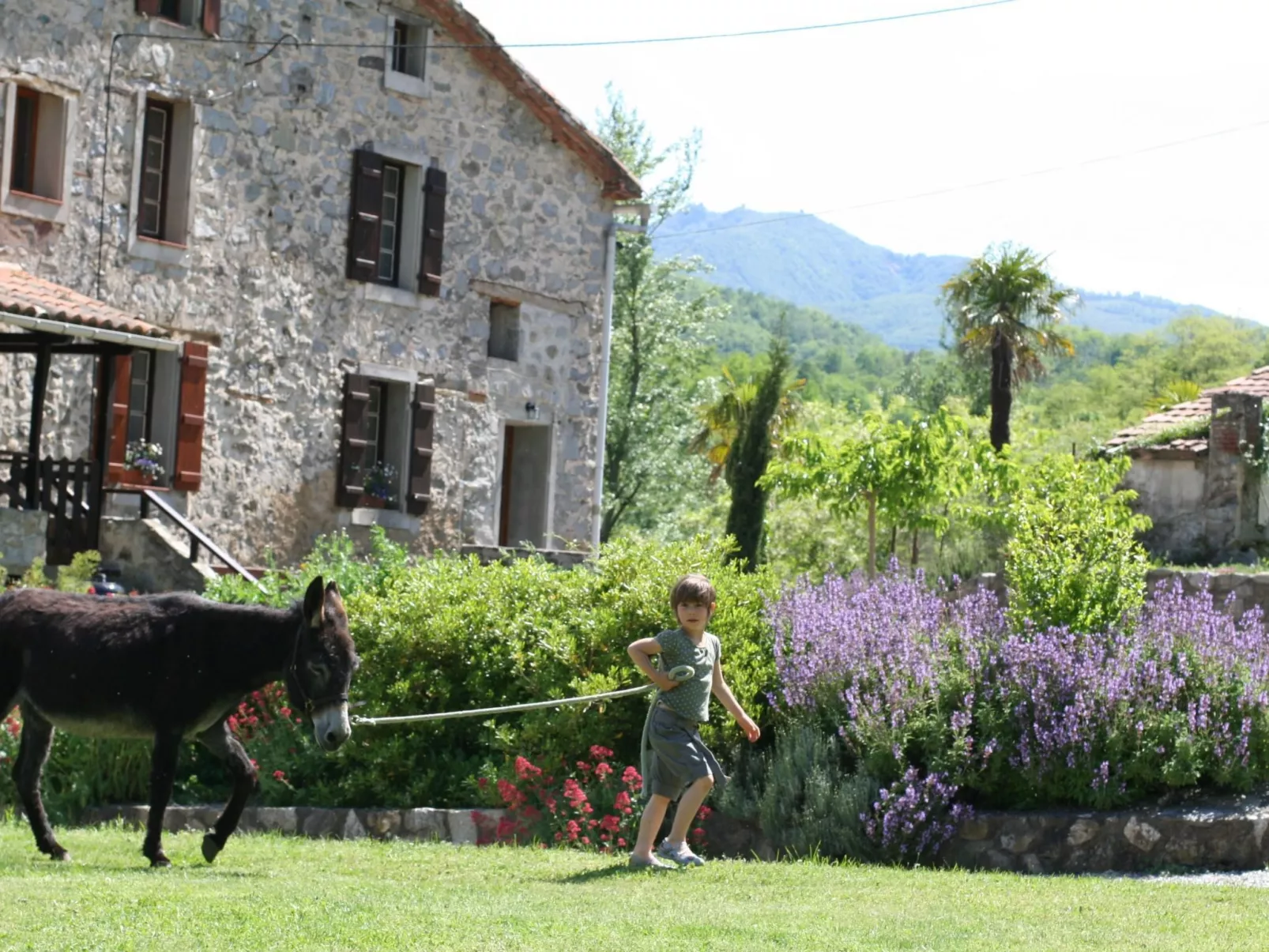 "Le Grenier" mit Pool-Draußen