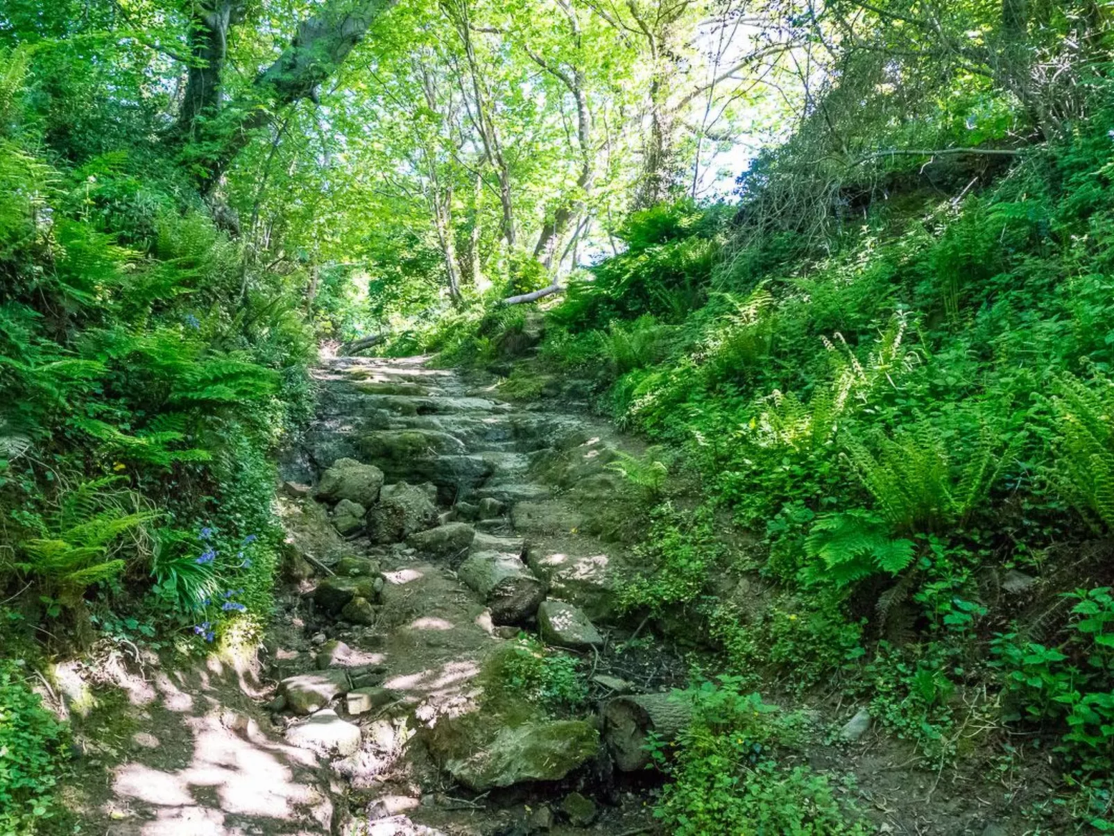 Schönes Ferienhaus in Hastings mit Whirlpool, Terrasse und Garten-Draußen