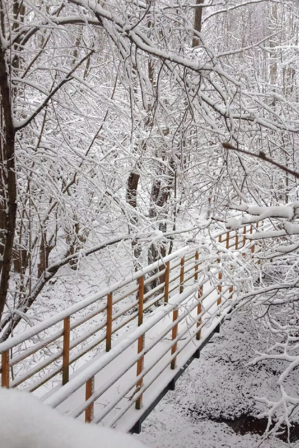 Komfortables Ferienhaus Ewa in Meszna Opacka-Image-tags.info