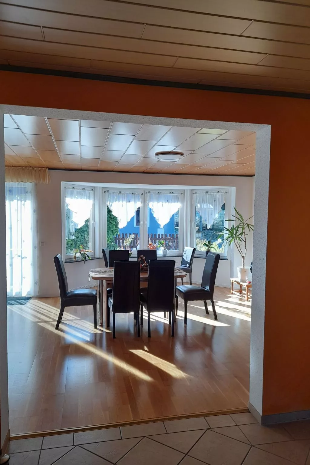 Schäfer-Image-tags.info