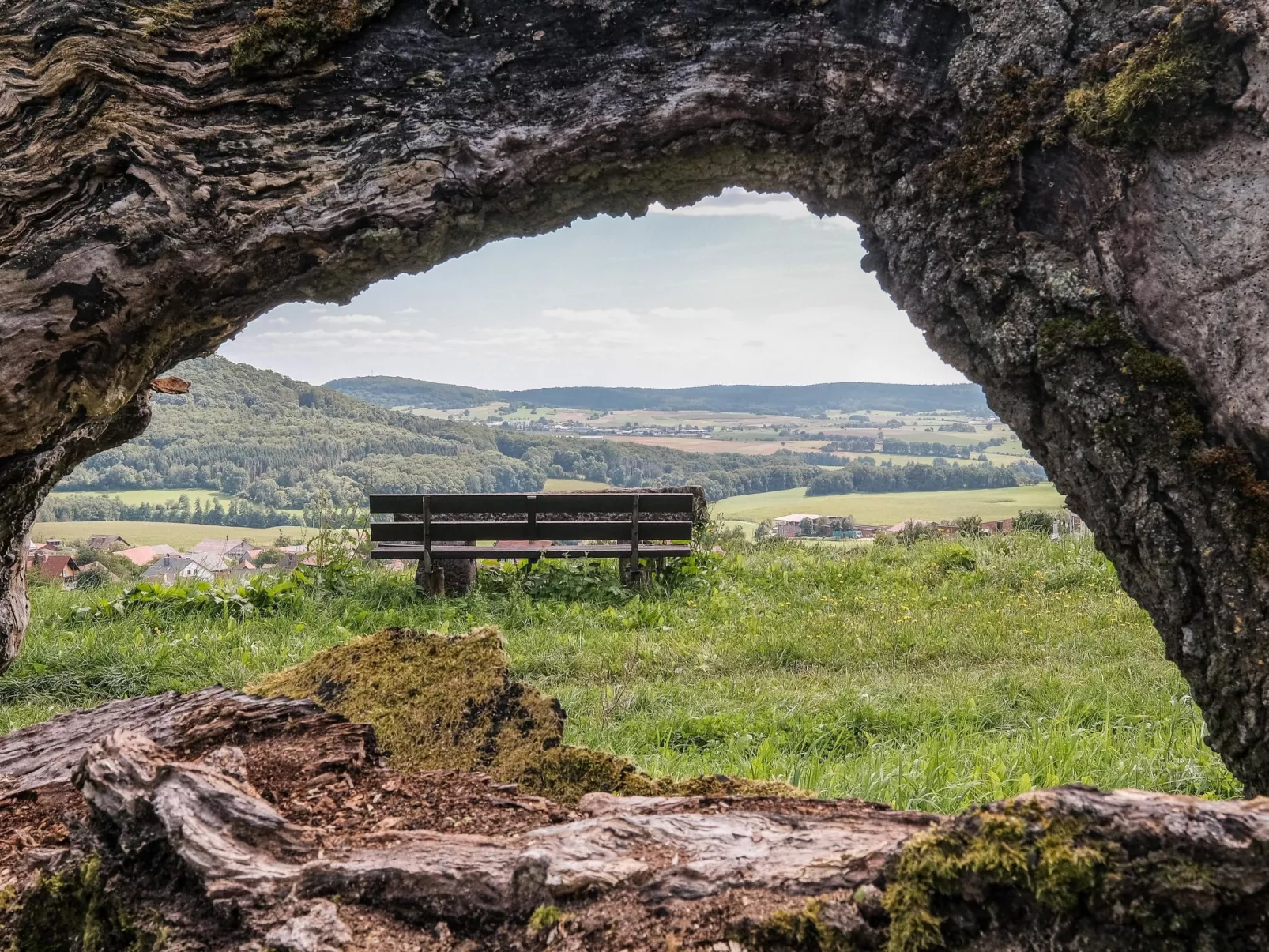 Fewo. Liebelt-Dehors