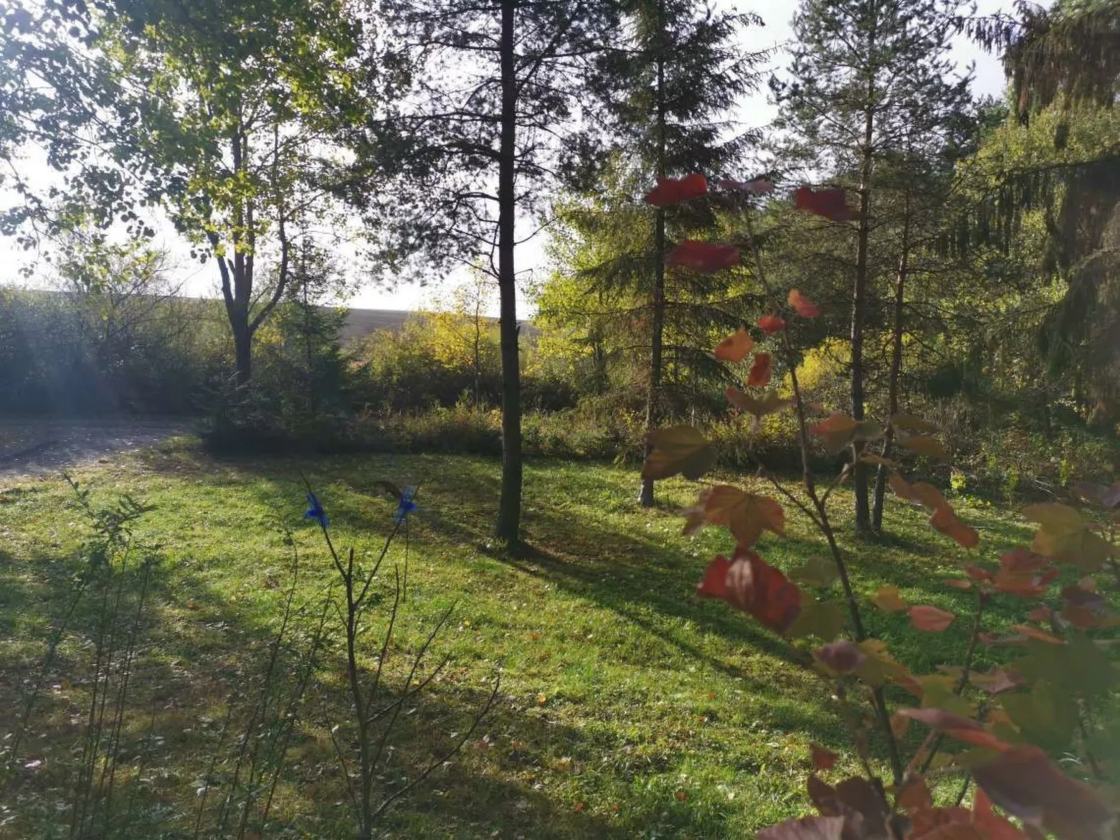 Cottage Tatry-Draußen