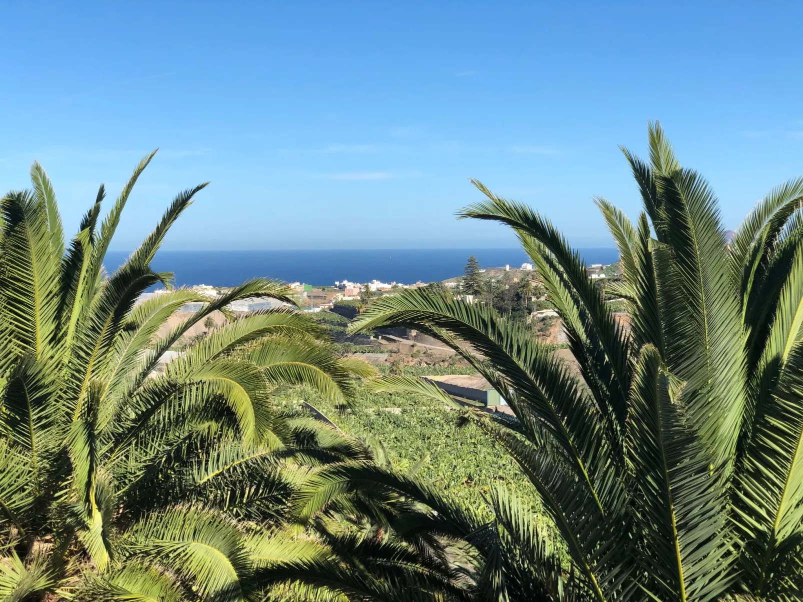Villa los palmitos Familiäre Privatvilla mit Pool - Draußen