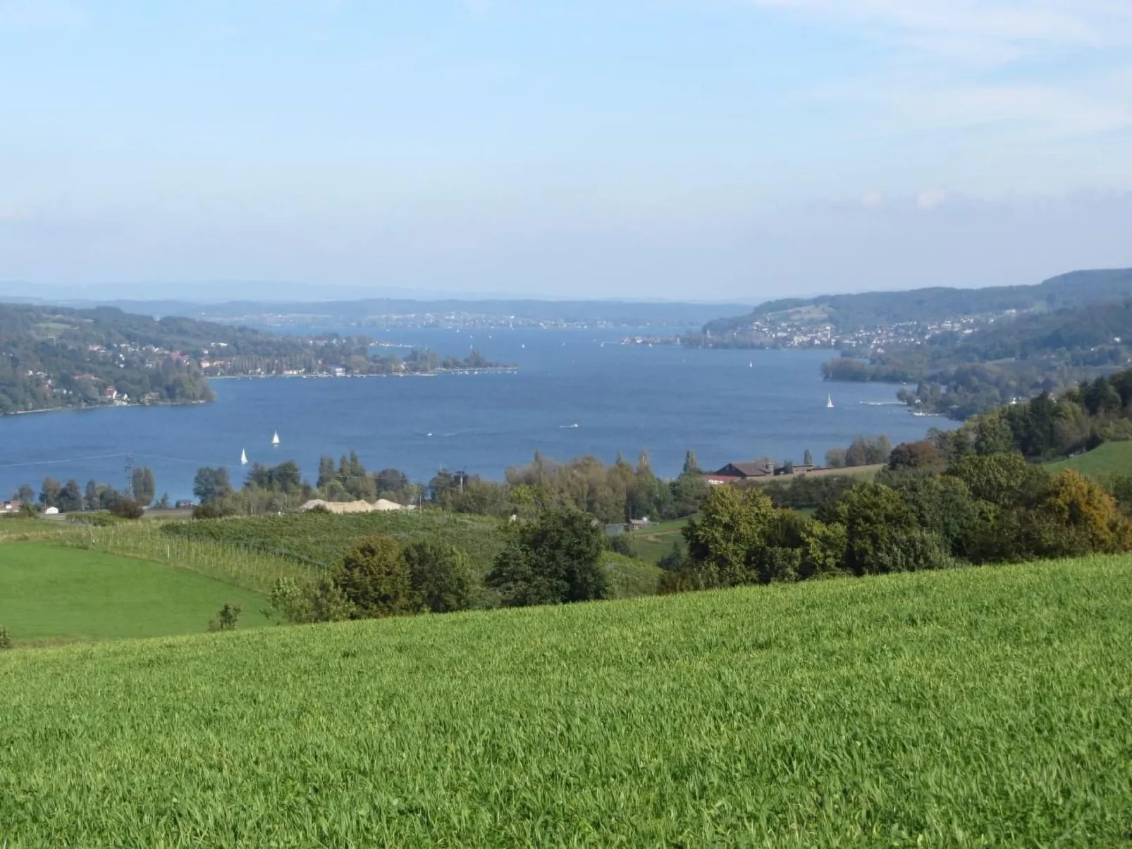 Tieroase Grünegg-Outside