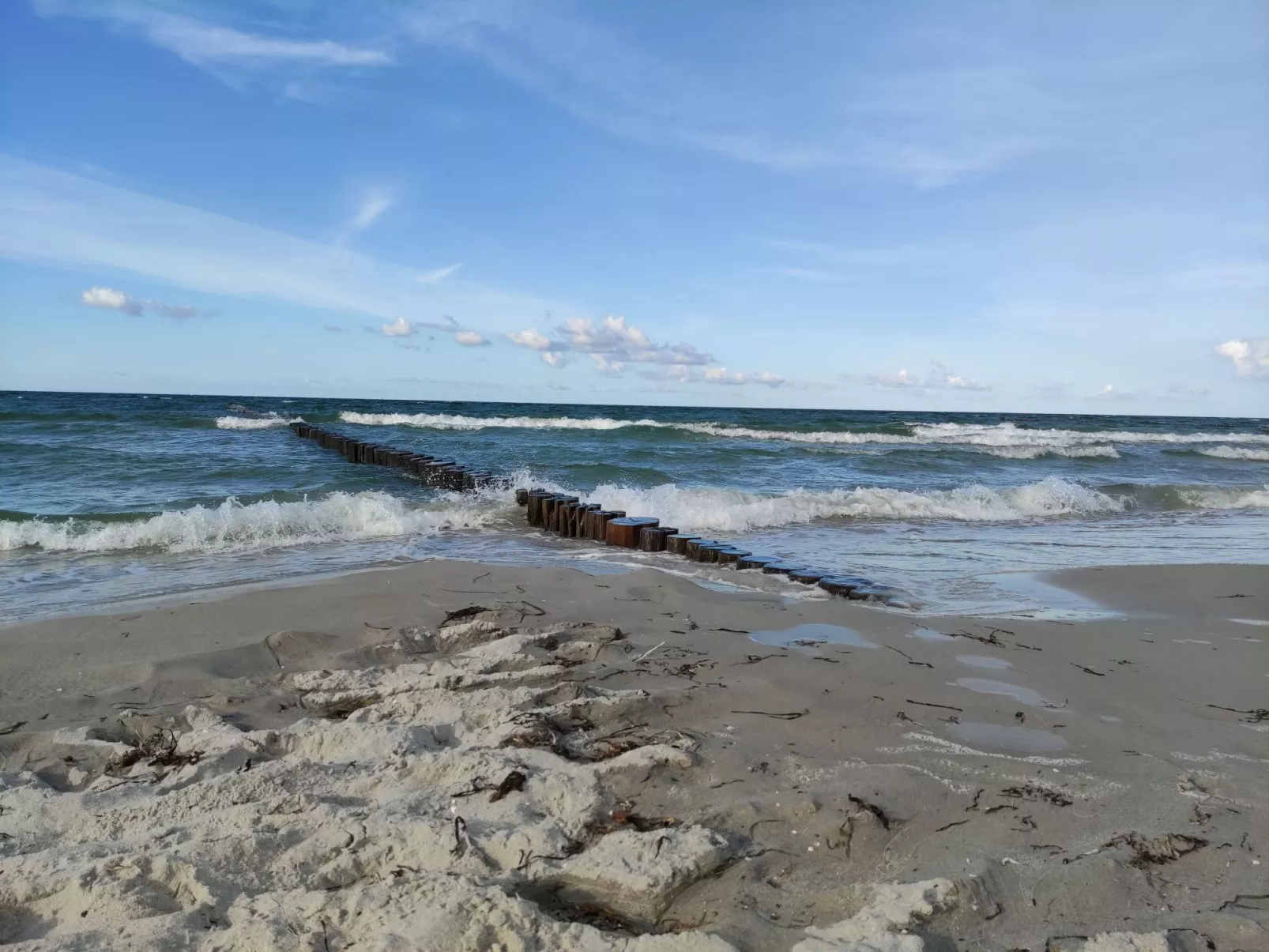 Janet Ratschkowski-Outside