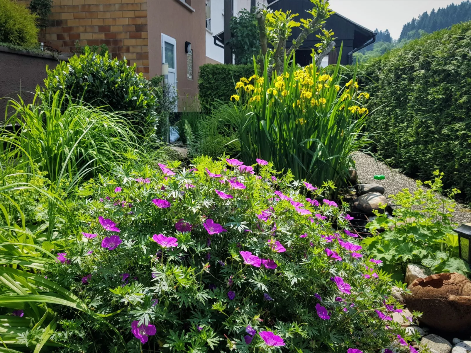 Mit Blick auf das Wasser-Dehors