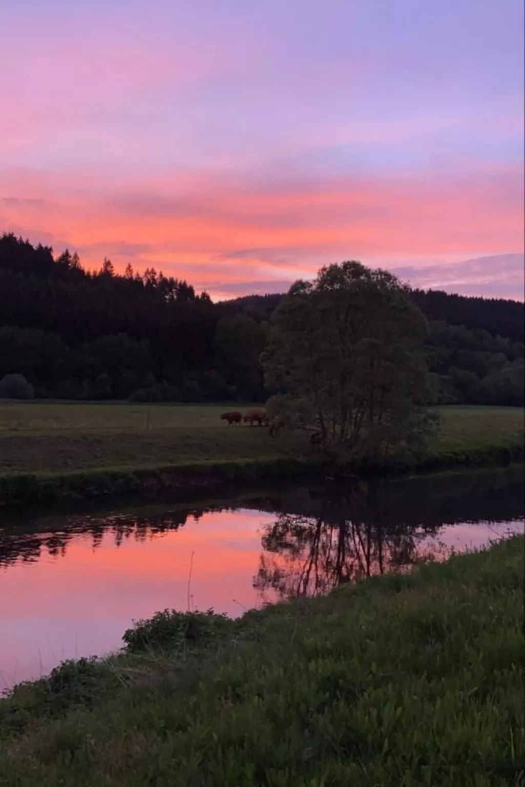 In Zendscheid mit Offenem Kamin-Dehors
