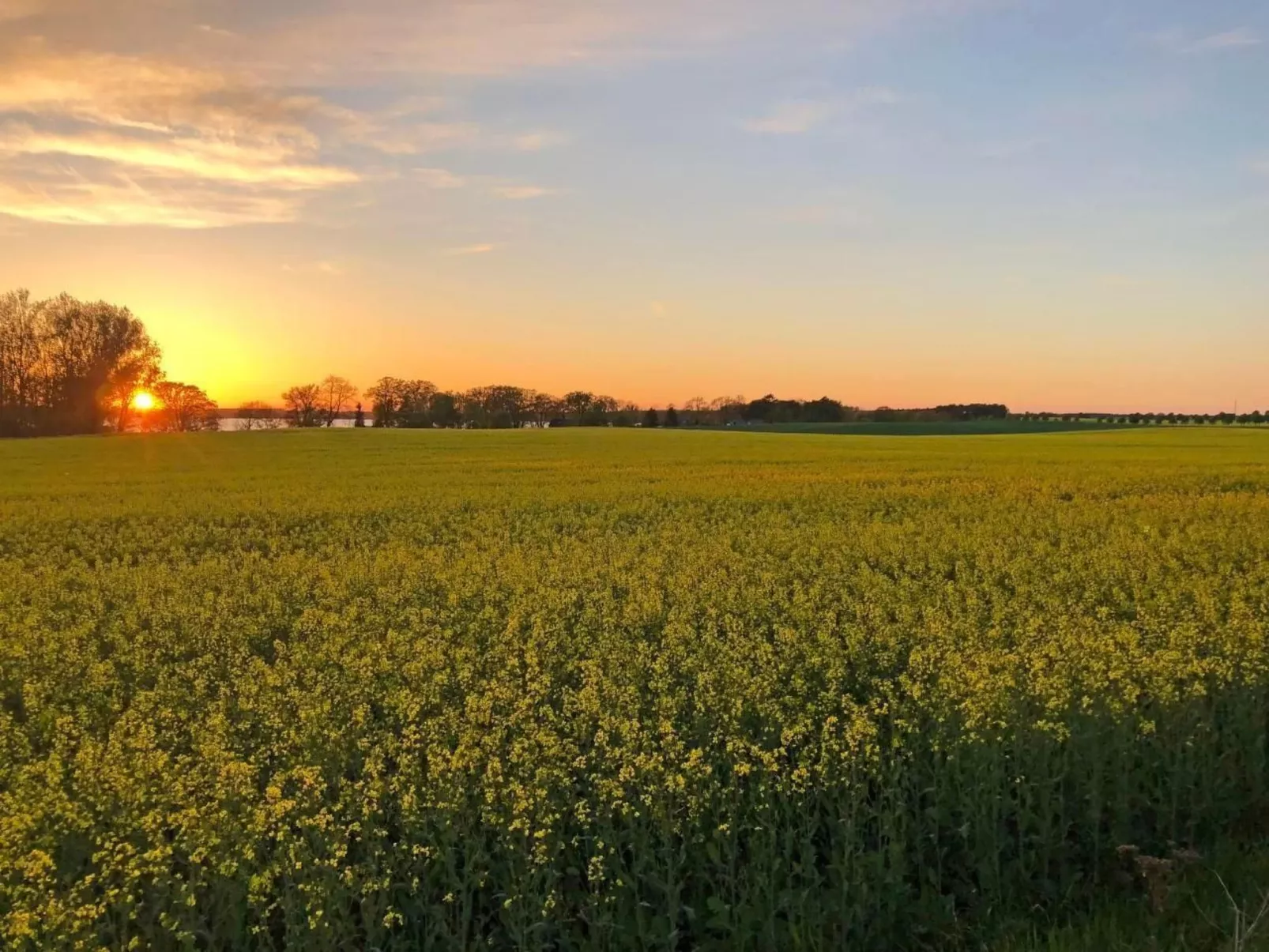 Müritz Ferienhaus-Outside