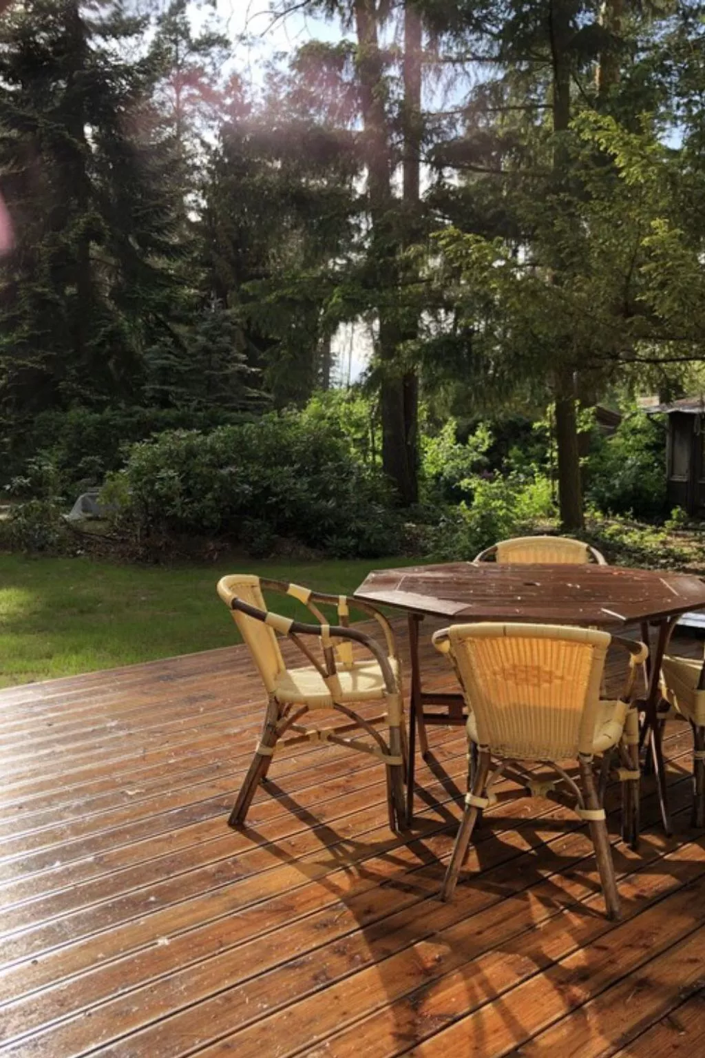 Reetdach Ferienhaus am Lübbesee Sauna Bootsteg neu-Outside