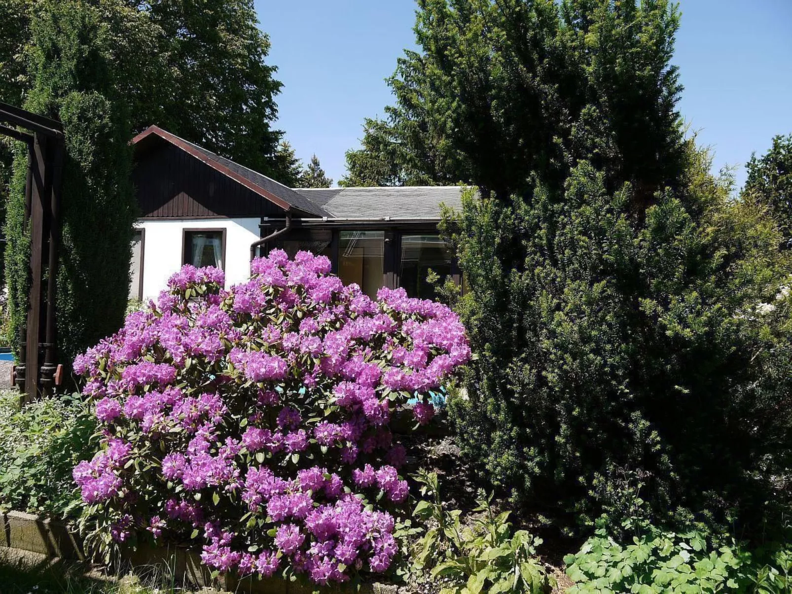 In Maxen mit Privatem Pool-Draußen