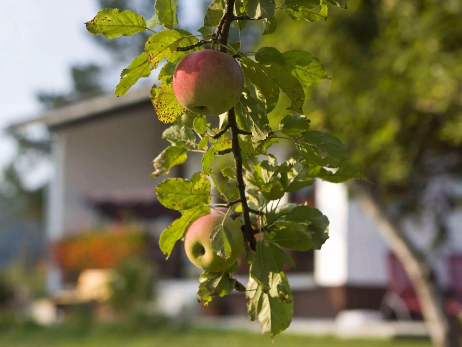 "Lana" mit Whirlpool
