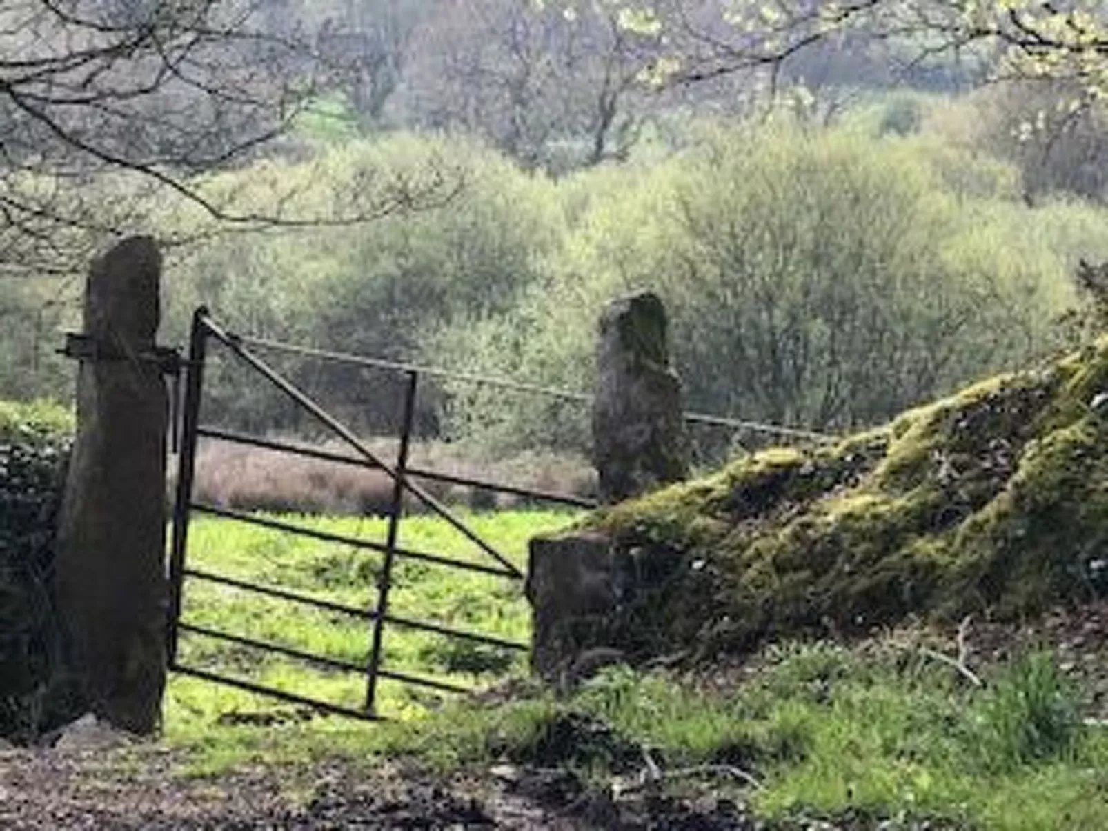 Idyllisches,haustierfreundliches Landhaus Lavender-Outside