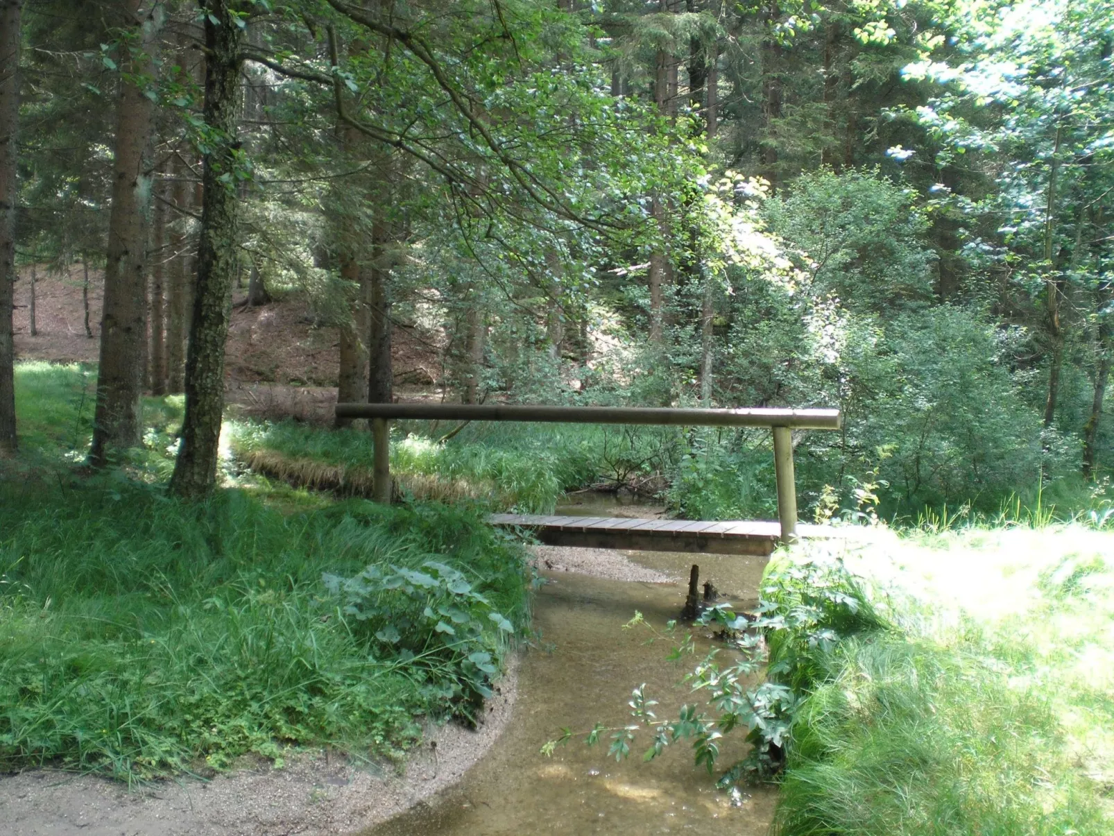 Mit Kaminofen, Fitnessraum und Sauna-Draußen