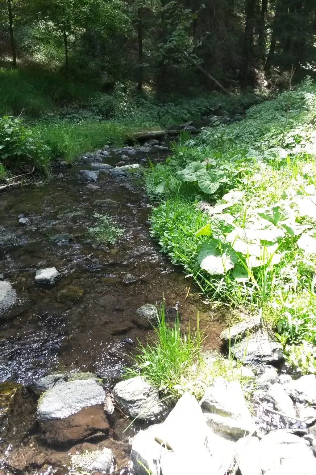 Für 6 Personen im Thüringer Wald-Draußen