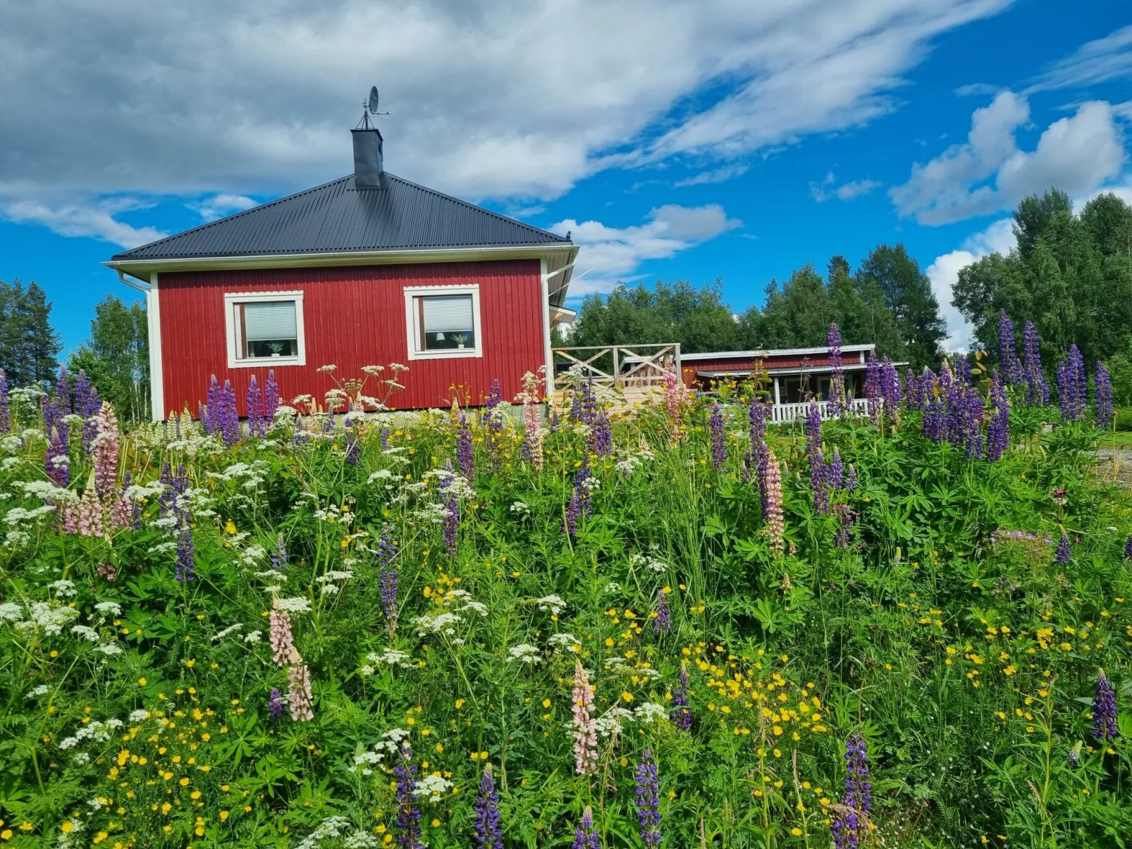 Villa Norrsken-Draußen