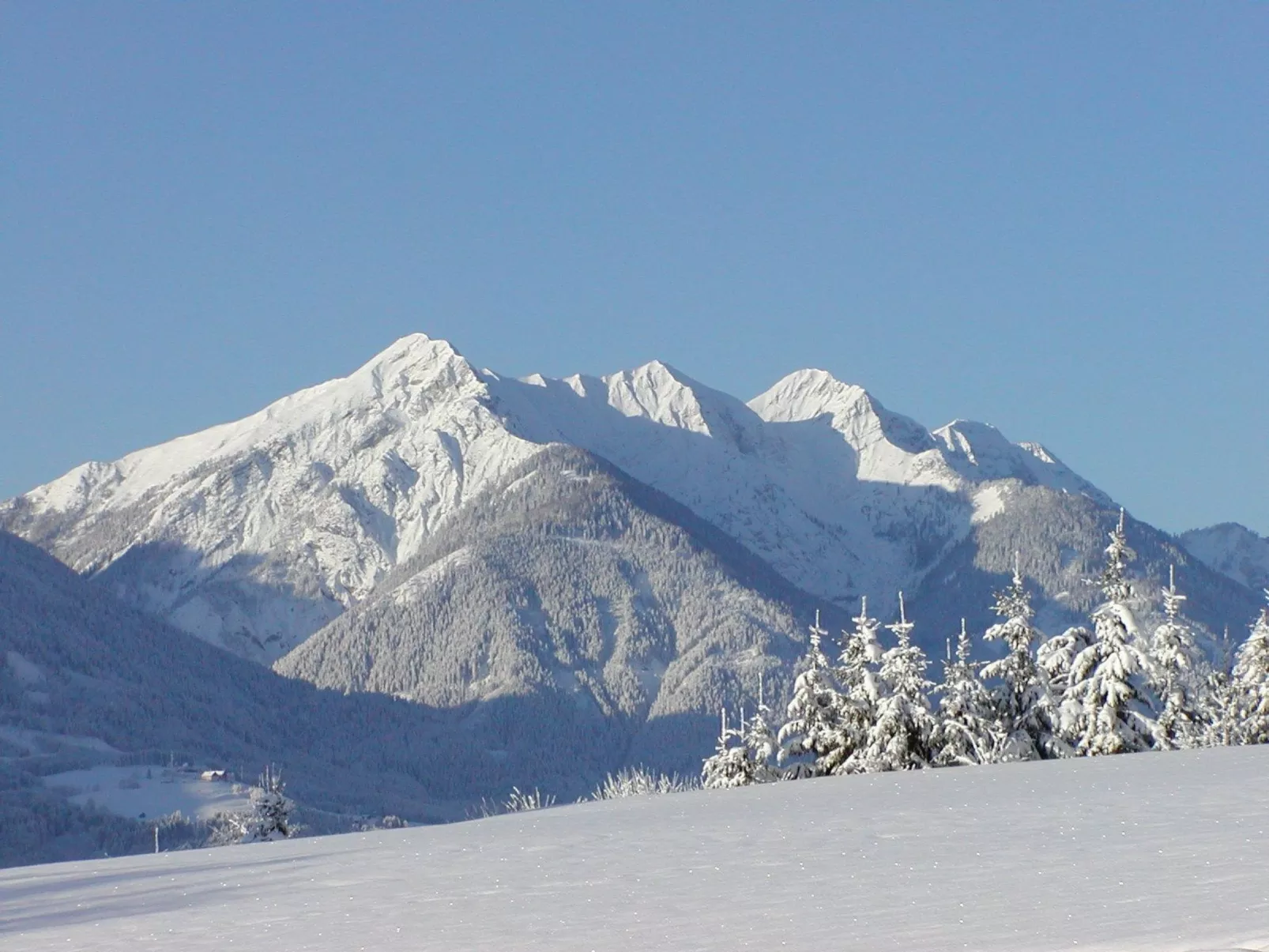 Waldpension in Steinfeld-Draußen