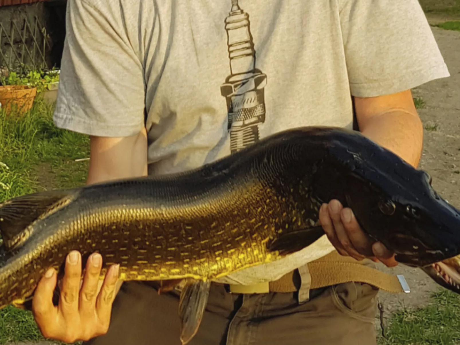 Gemütliches Ferienhaus Angermanland - höga Kusten-Draußen
