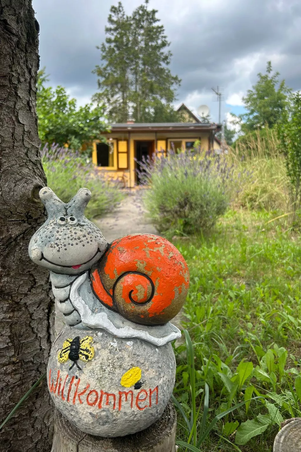 Datscha im Grünen-Draußen