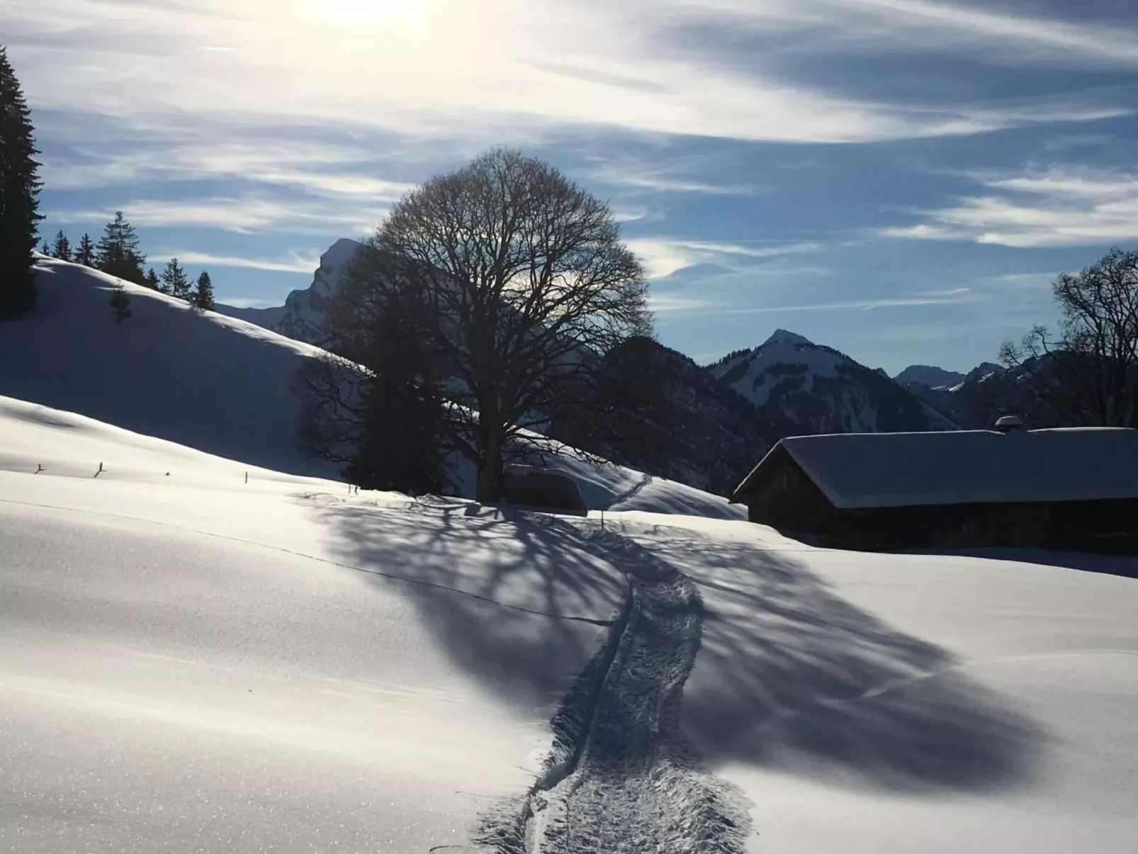 Fewo mit Herz-Draußen