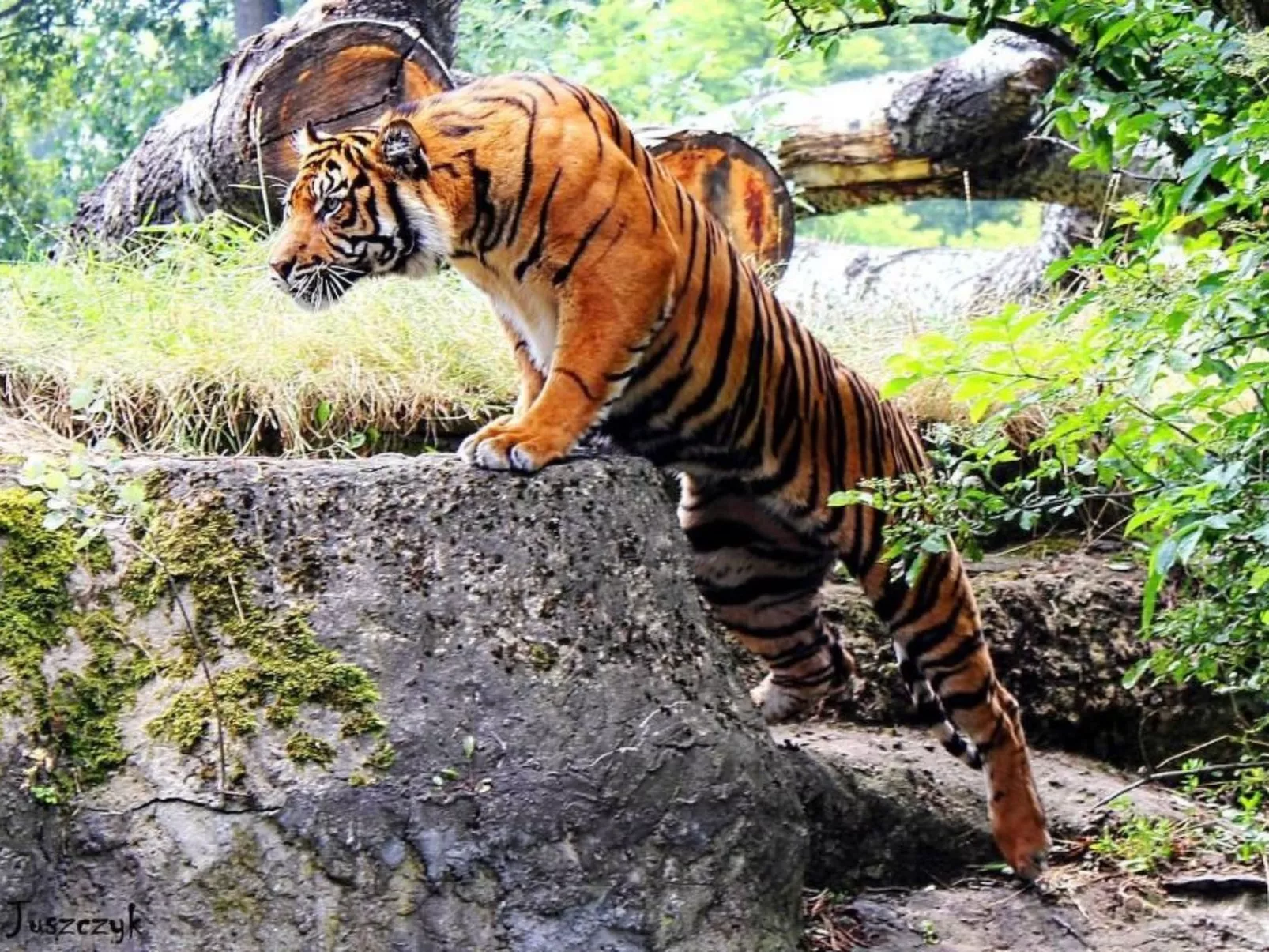 BESSERER PLATZ: Klassisches Warschau-Draußen