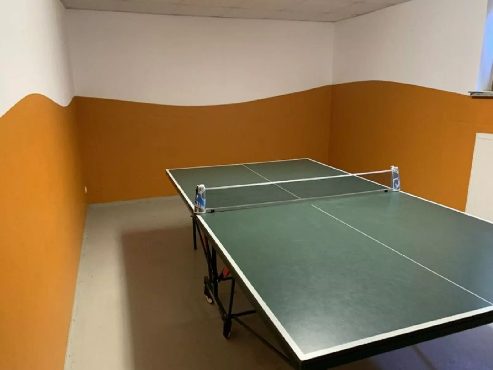 Mit Balkon und Bergblick-Dedans