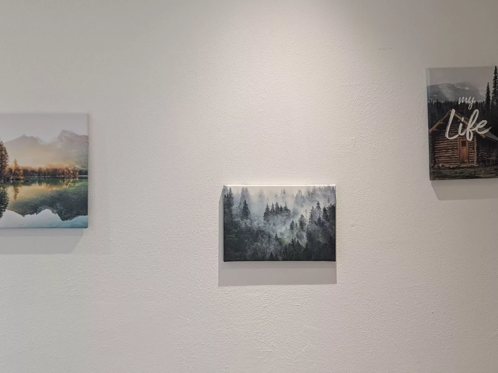 Wittle-Image-tags.info