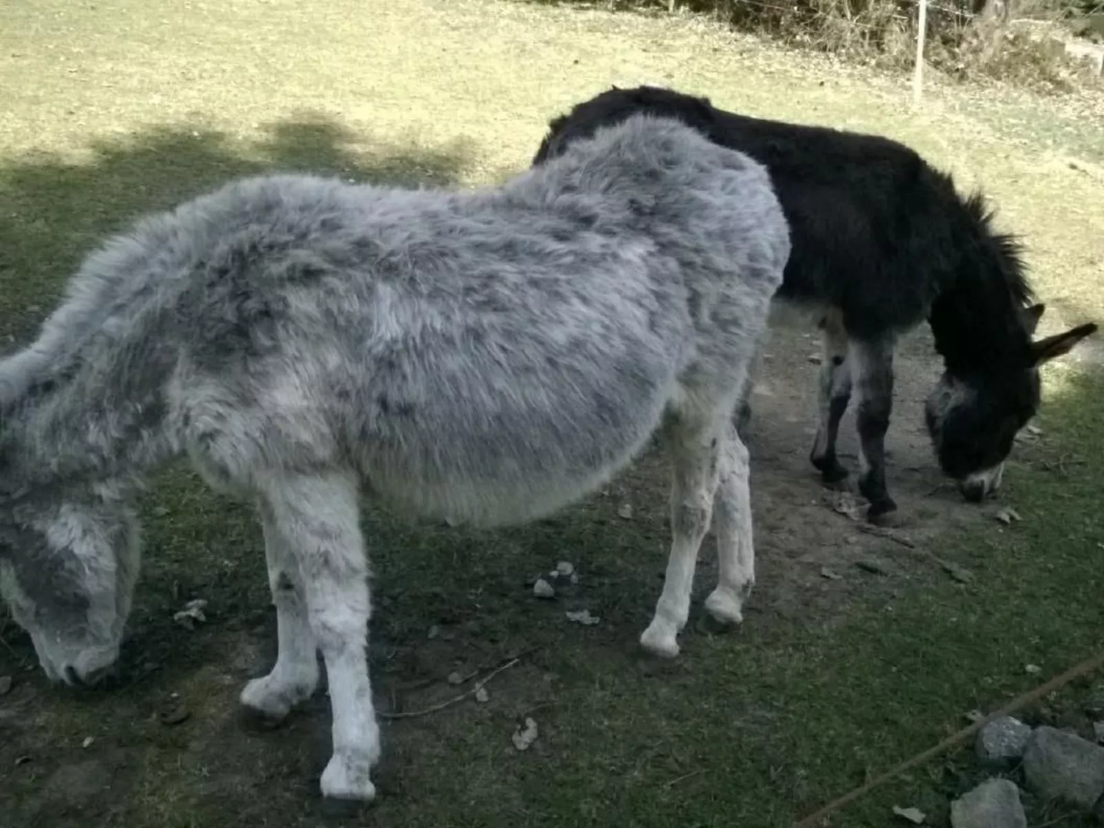 Haus Annemarie-Outside