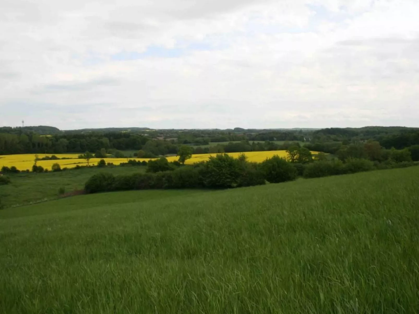 Hof Rodenkrog Fewo 2-Dehors