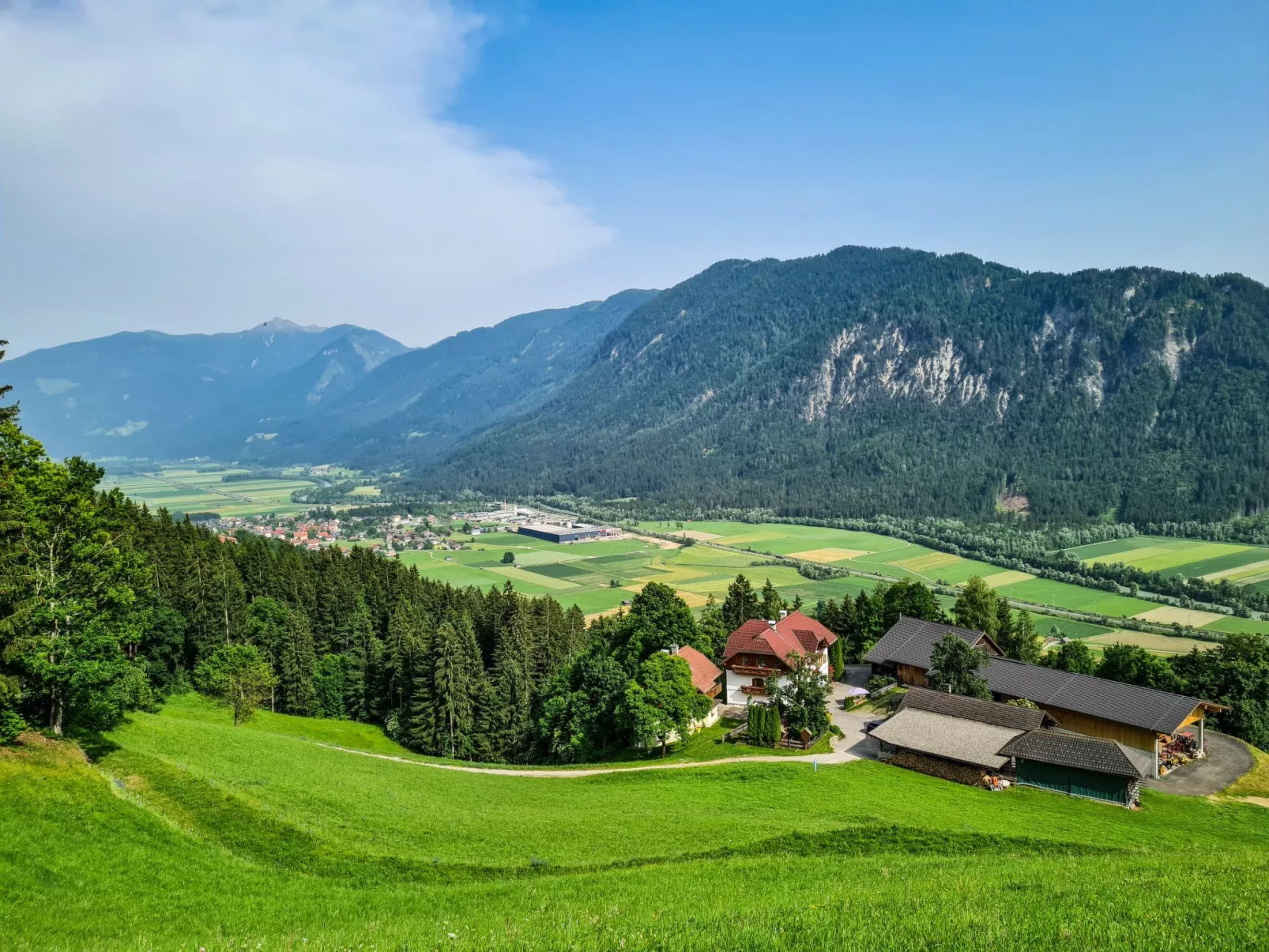 Waldblick in Steinfeld-Dehors